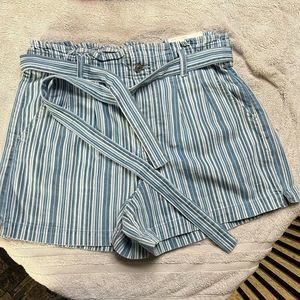 American Eagle NWT Mom Short Size 14
